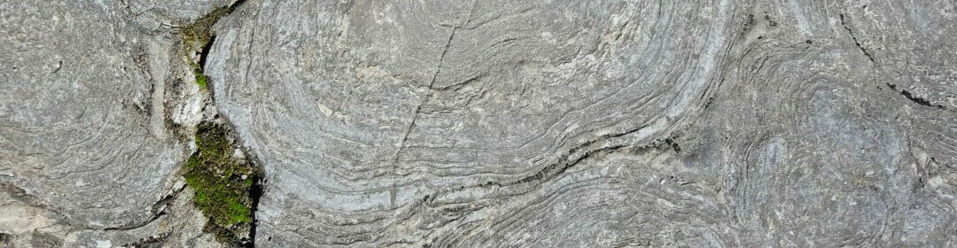 Stromatolite at Petrified Sea Gardens are among the oldest fossils ever discovered