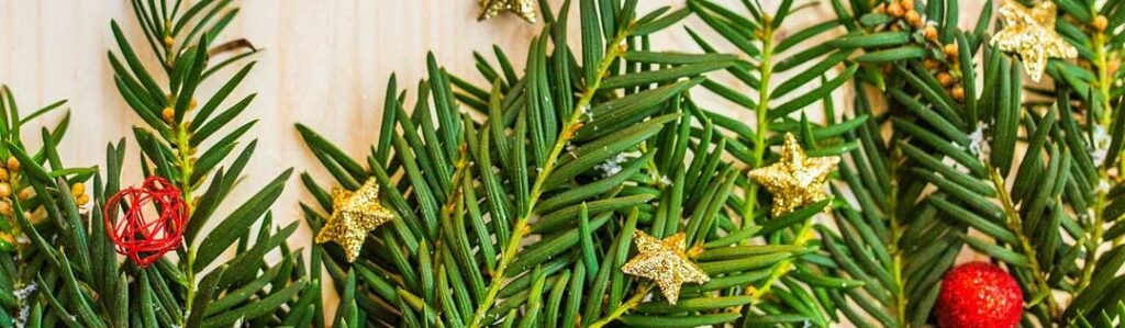 Christmas tree branches with decorations